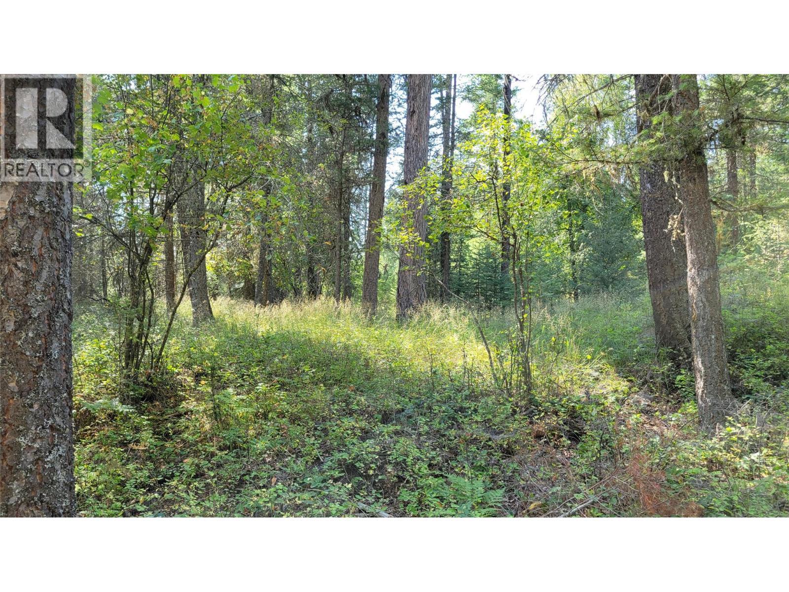 












2870 Rosen Heights Road

,
Jaffray,




British Columbia
V0B1T0

