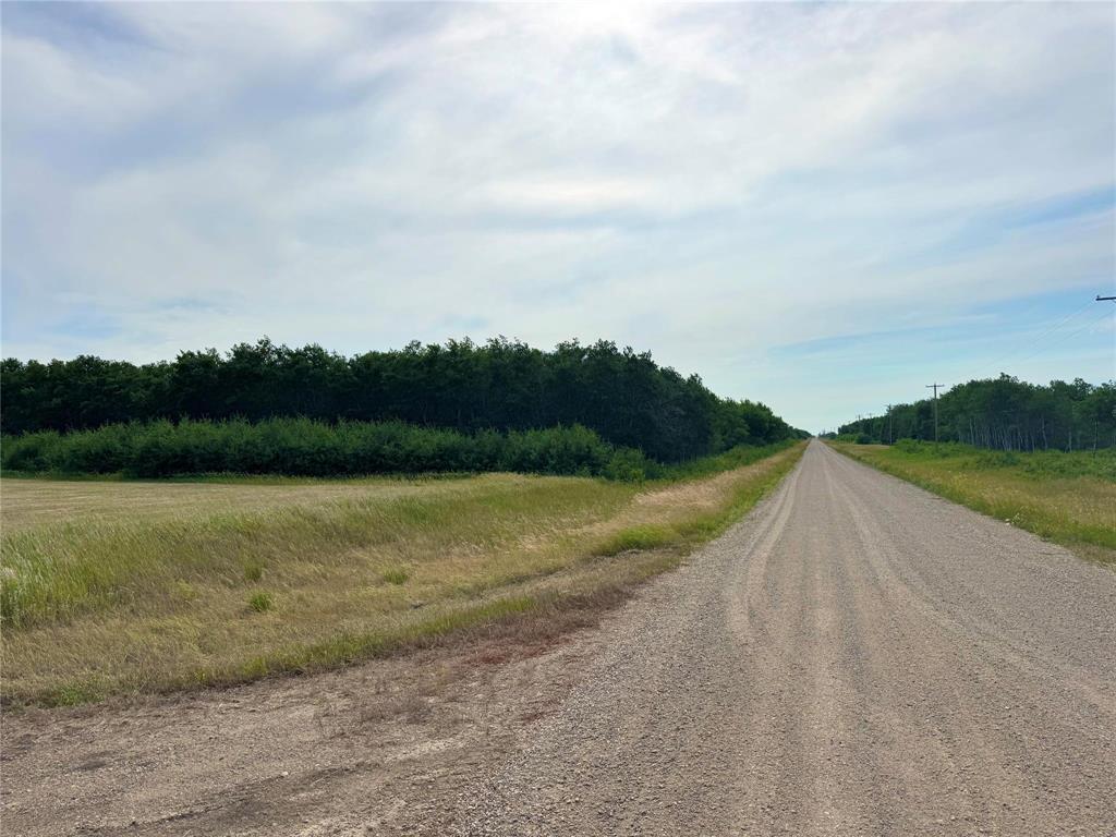 












1 NW 7-10-25  150W Road

,
Virden,







Manitoba
R0M2C0

