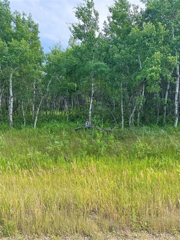 












1 NW 7-10-25  150W Road

,
Virden,







Manitoba
R0M2C0

