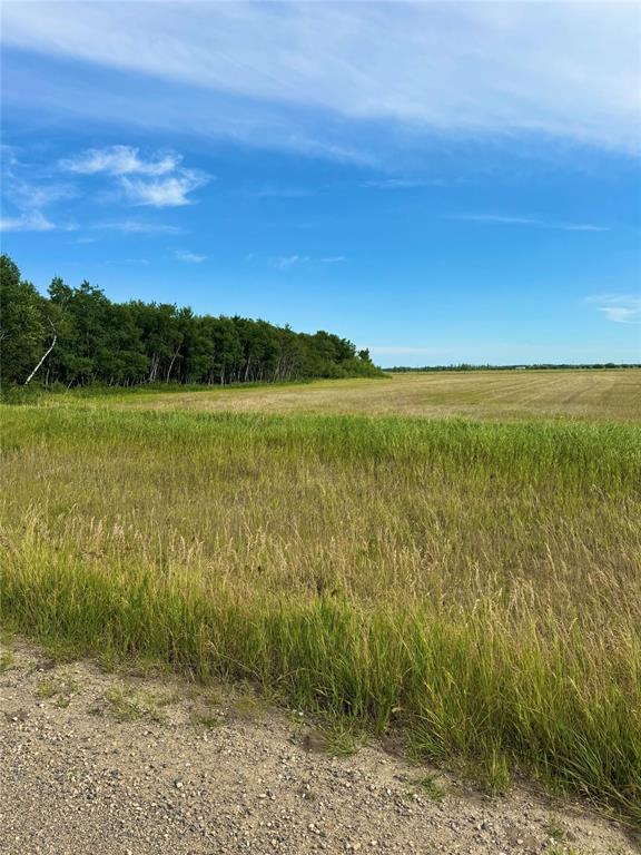 












1 NW 7-10-25  150W Road

,
Virden,







Manitoba
R0M2C0

