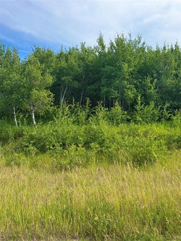 












1 NW 7-10-25  150W Road

,
Virden,







Manitoba
R0M2C0

