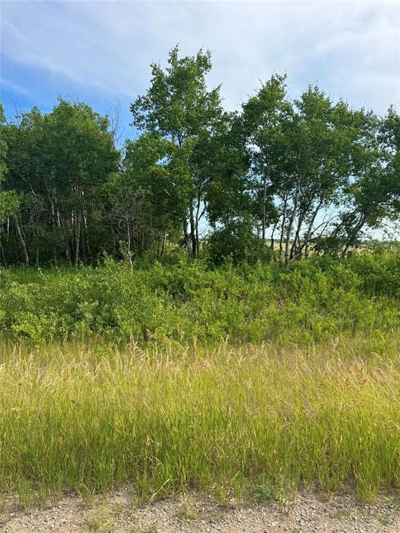 












1 NW 7-10-25  150W Road

,
Virden,







Manitoba
R0M2C0

