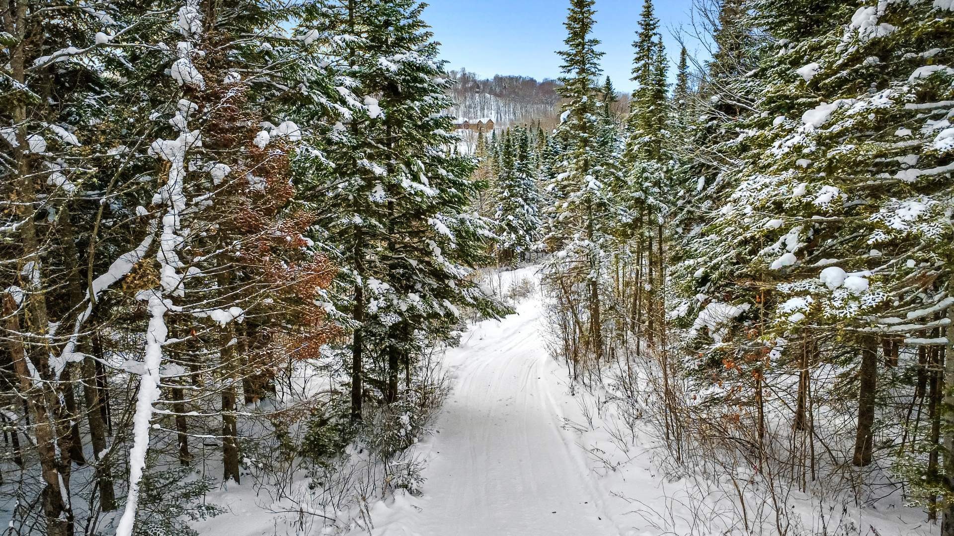 












Ch. du Lac-Nantel S.

,
Mont-Blanc,







QC
J0T1J2


