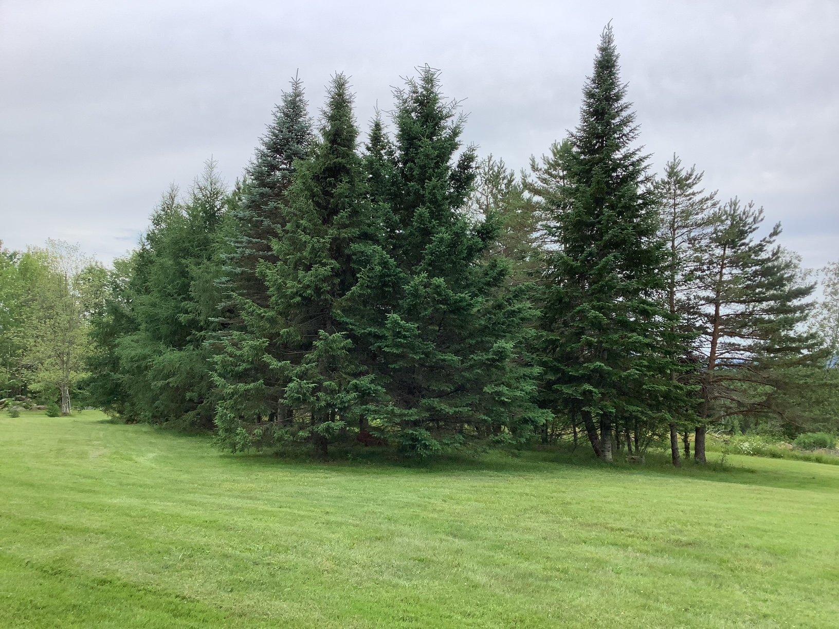 









2436


13e Rang

,
Orford,




QC
J1X0S4

