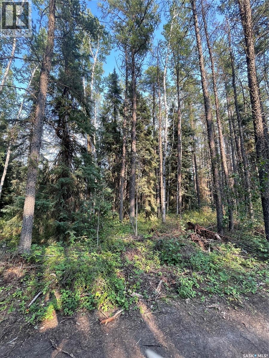 












5.22 acre lot

,
Hudson Bay Rm No. 394,







Saskatchewan
S0E0Y0

