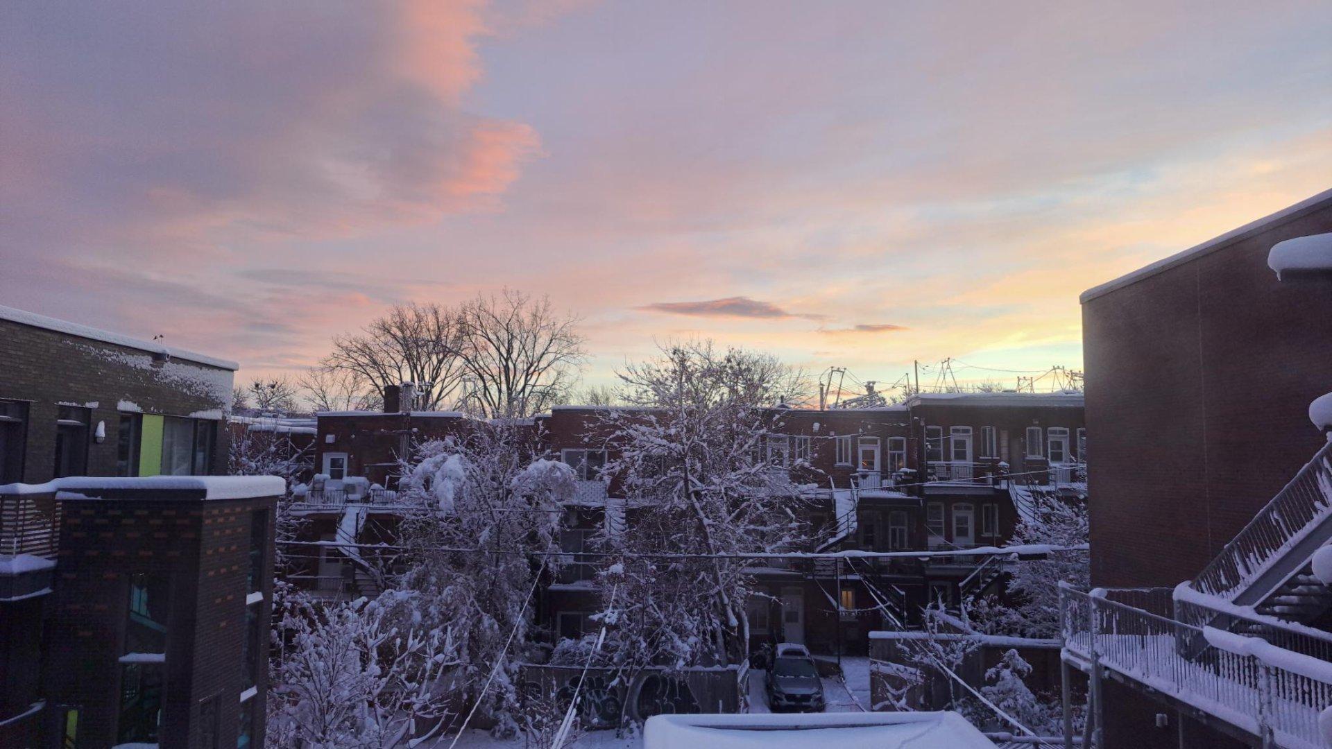 









5382


Av. Papineau

,
Montréal (Le Plateau-Mont-Royal),




QC
H1H1W2

