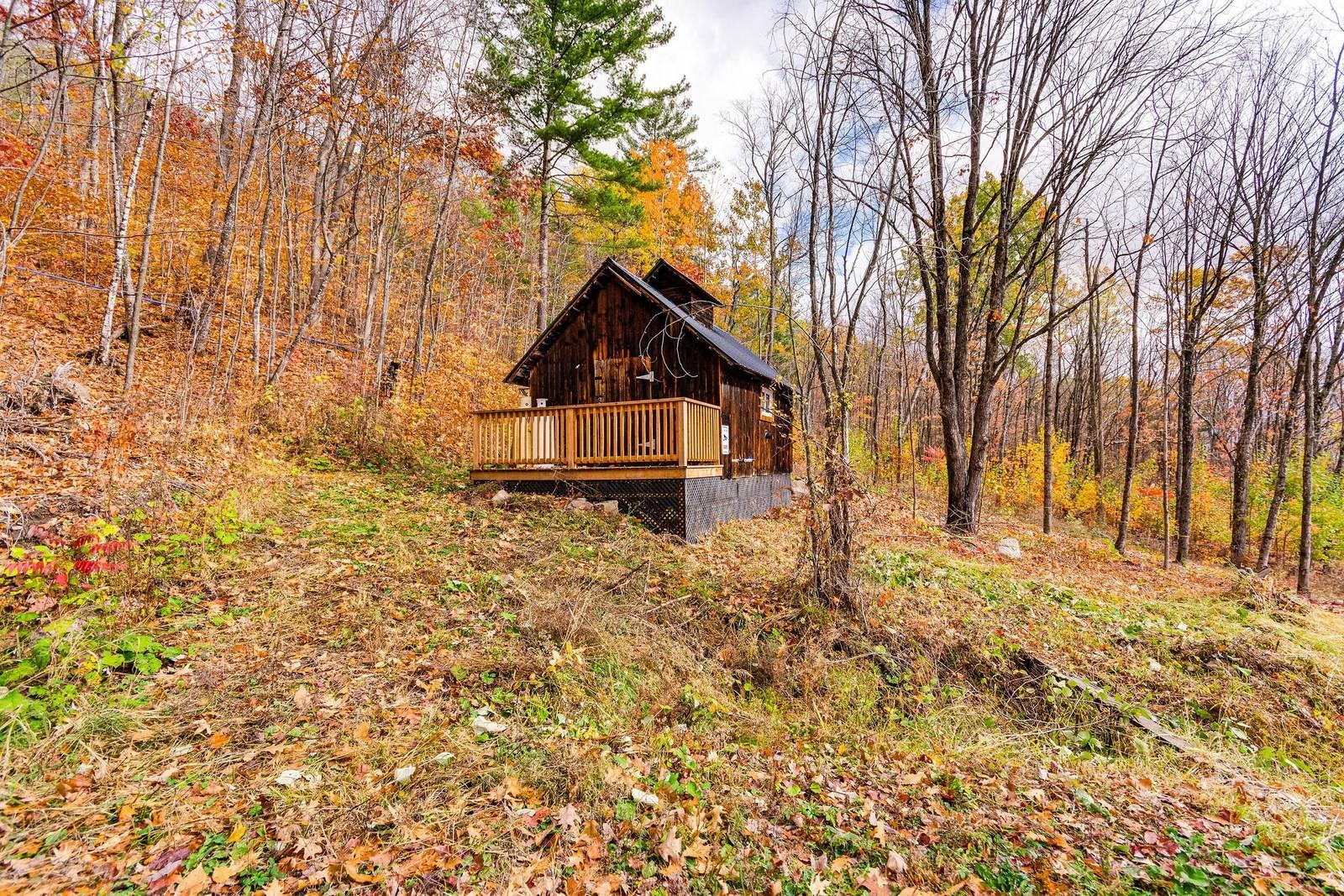 









451


Ch. Prud'Homme

,
Fassett,







QC
J0V1H0

