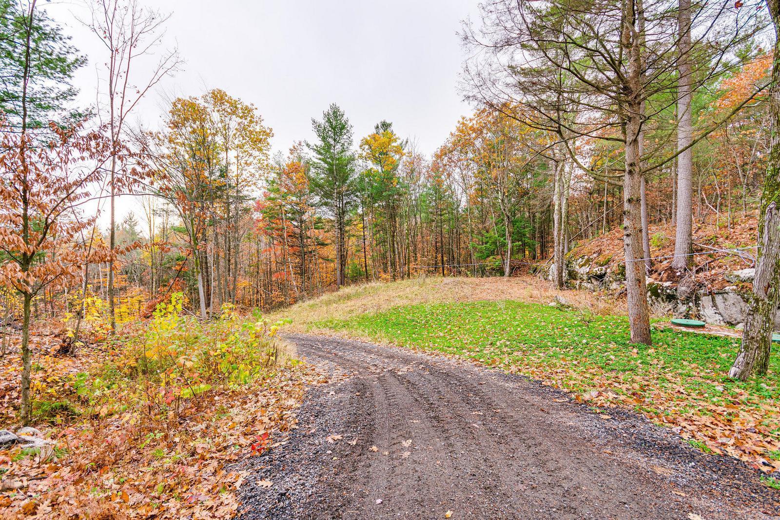 









451


Ch. Prud'Homme

,
Fassett,







QC
J0V1H0

