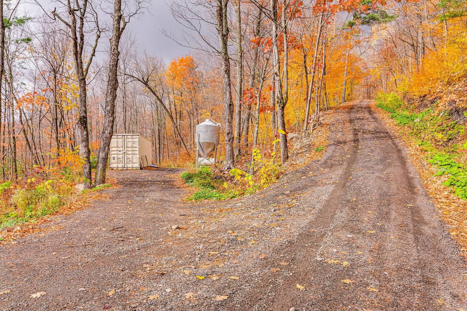 









451


Ch. Prud'Homme

,
Fassett,







QC
J0V1H0

