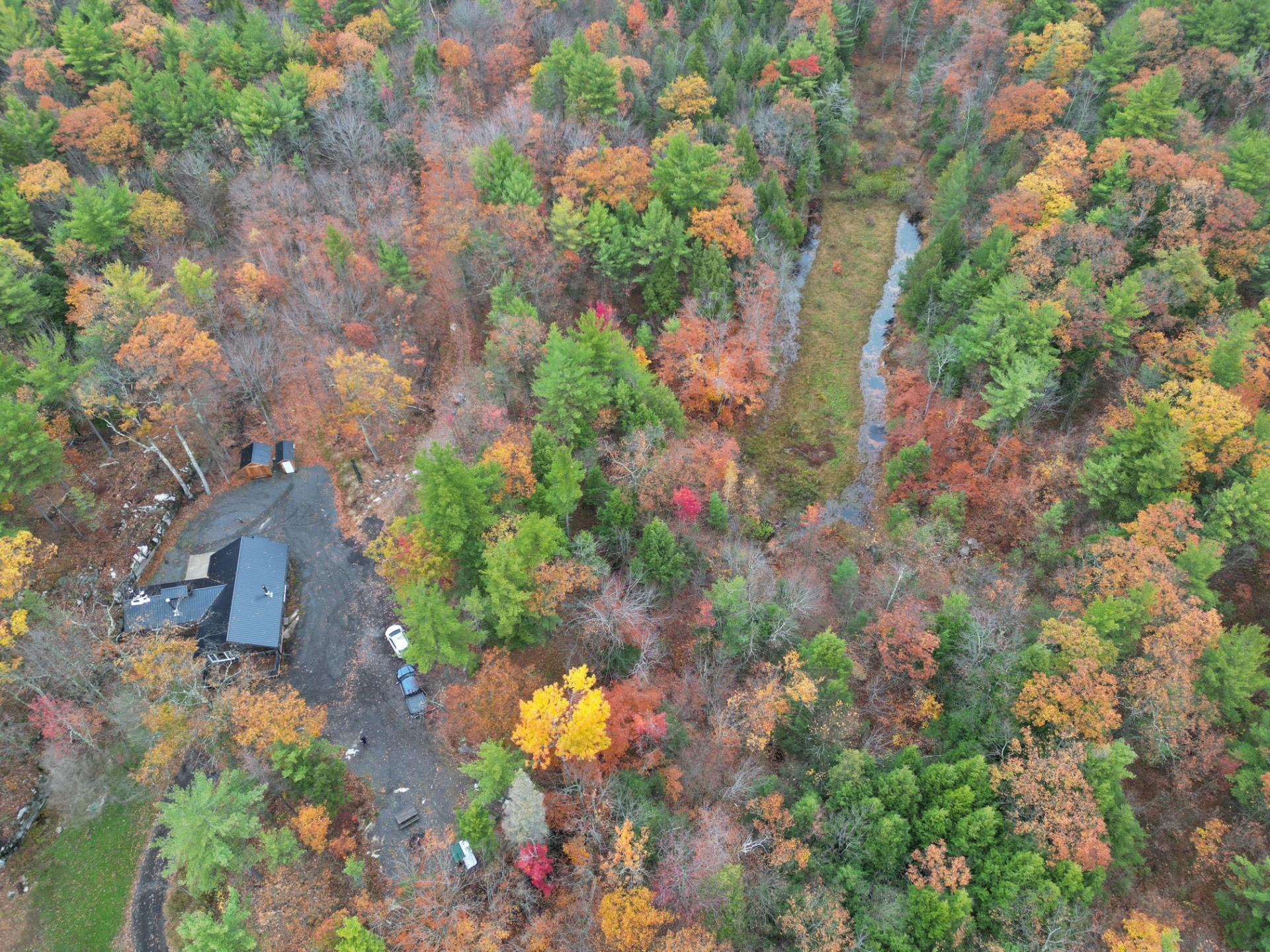 









451


Ch. Prud'Homme

,
Fassett,







QC
J0V1H0

