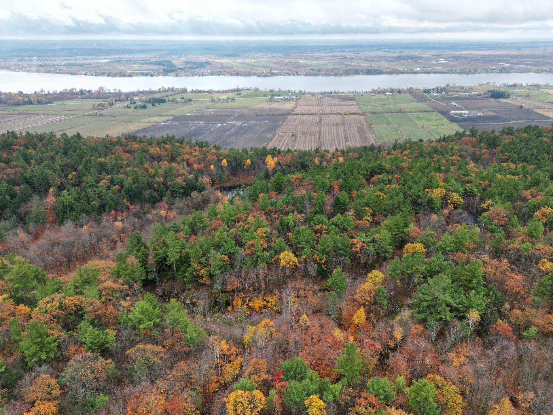 









451


Ch. Prud'Homme

,
Fassett,







QC
J0V1H0

