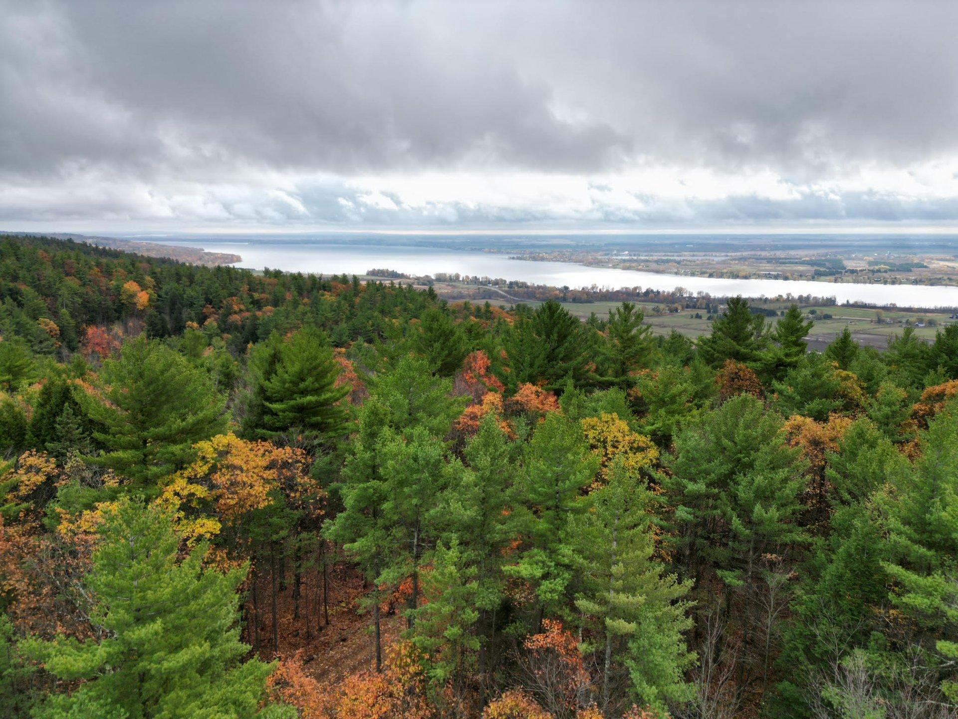 









451


Ch. Prud'Homme

,
Fassett,







QC
J0V1H0

