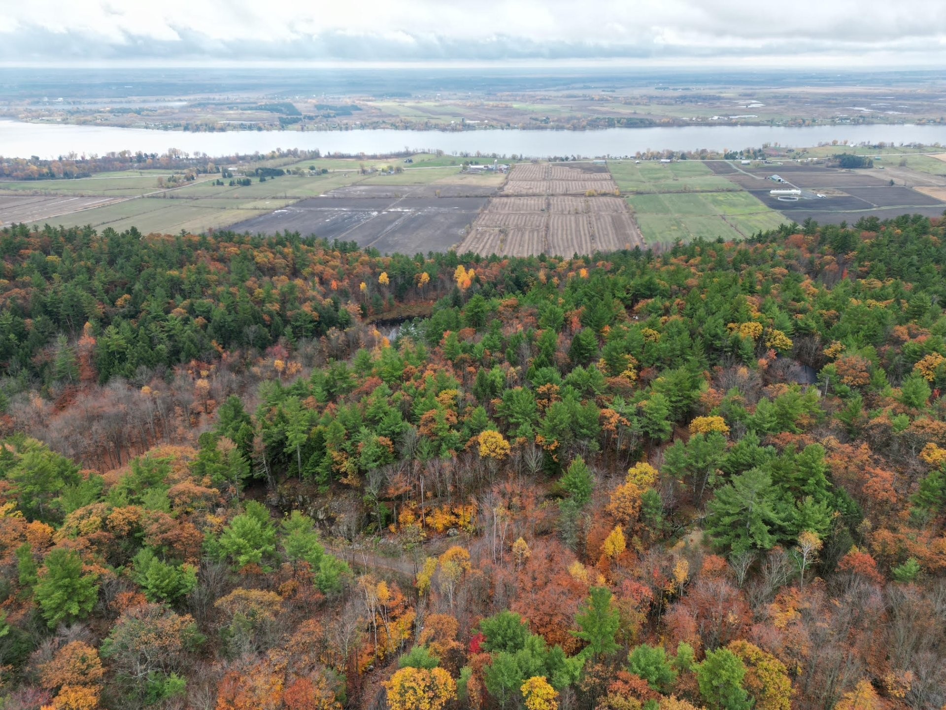 









451


Ch. Prud'Homme

,
Fassett,







QC
J0V1H0

