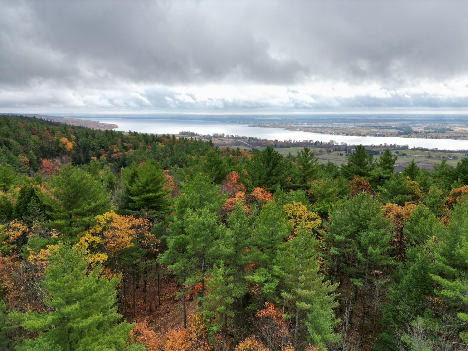 









451


Ch. Prud'Homme

,
Fassett,







QC
J0V1H0

