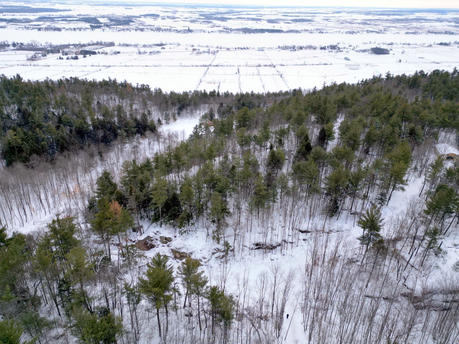 









451


Ch. Prud'Homme

,
Fassett,







QC
J0V1H0

