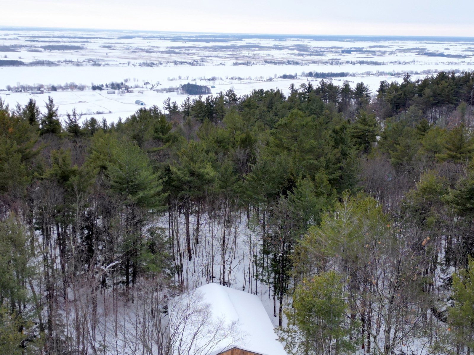 









451


Ch. Prud'Homme

,
Fassett,







QC
J0V1H0

