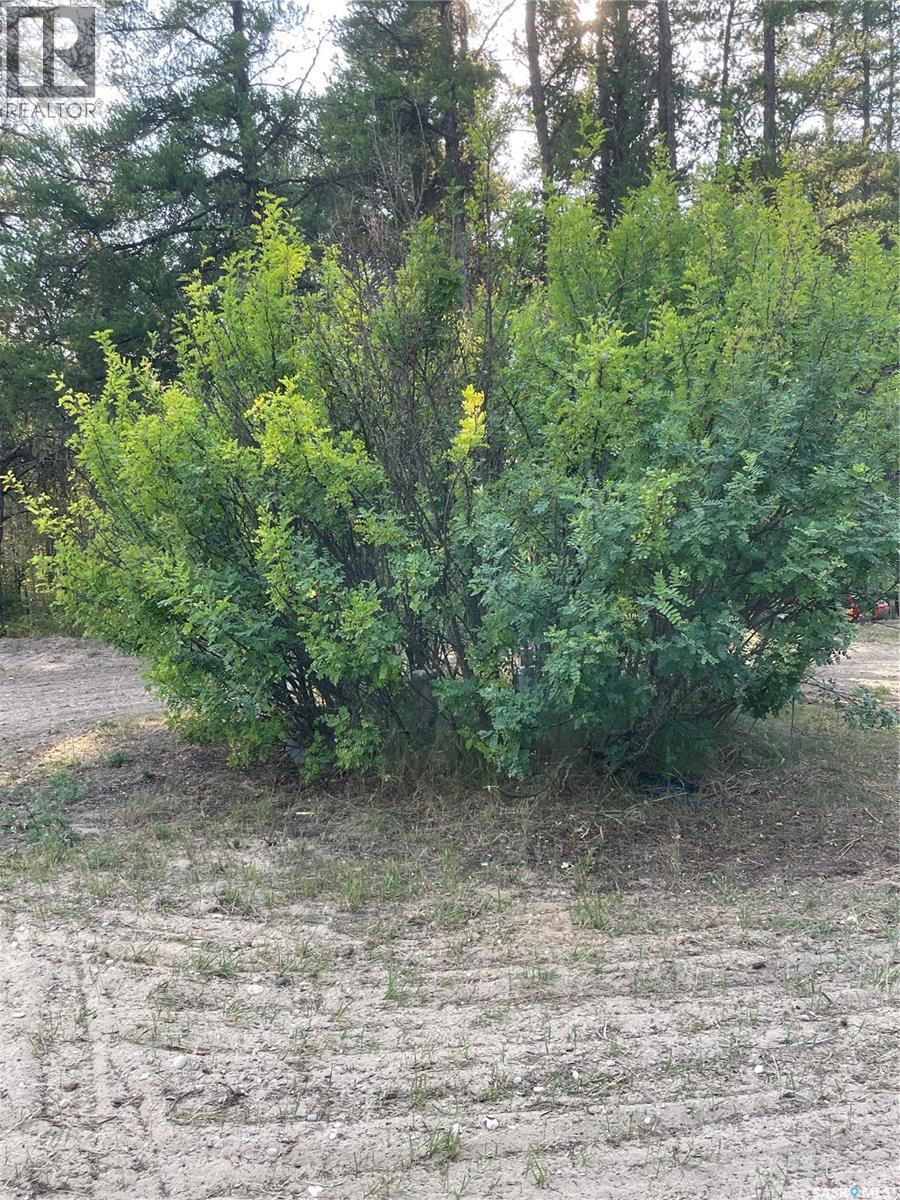 












Starter Acreage

,
Hudson Bay Rm No. 394,







Saskatchewan
S0E0Y0

