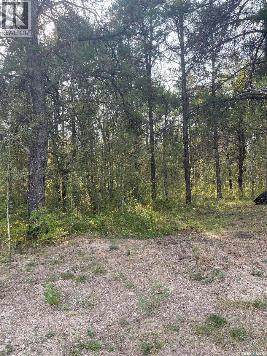 












Starter Acreage

,
Hudson Bay Rm No. 394,







Saskatchewan
S0E0Y0

