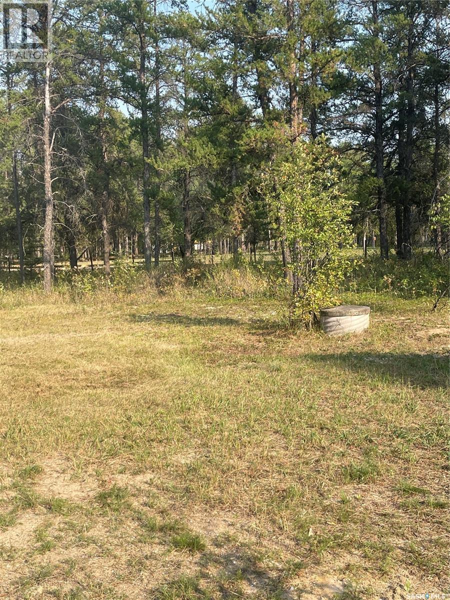 












Starter Acreage

,
Hudson Bay Rm No. 394,







Saskatchewan
S0E0Y0

