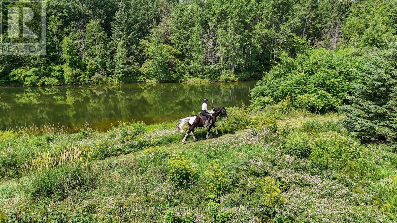 












2575 CONCESSION 2 ROAD

,
Alfred and Plantagenet,




Ontario
K0B1J0

