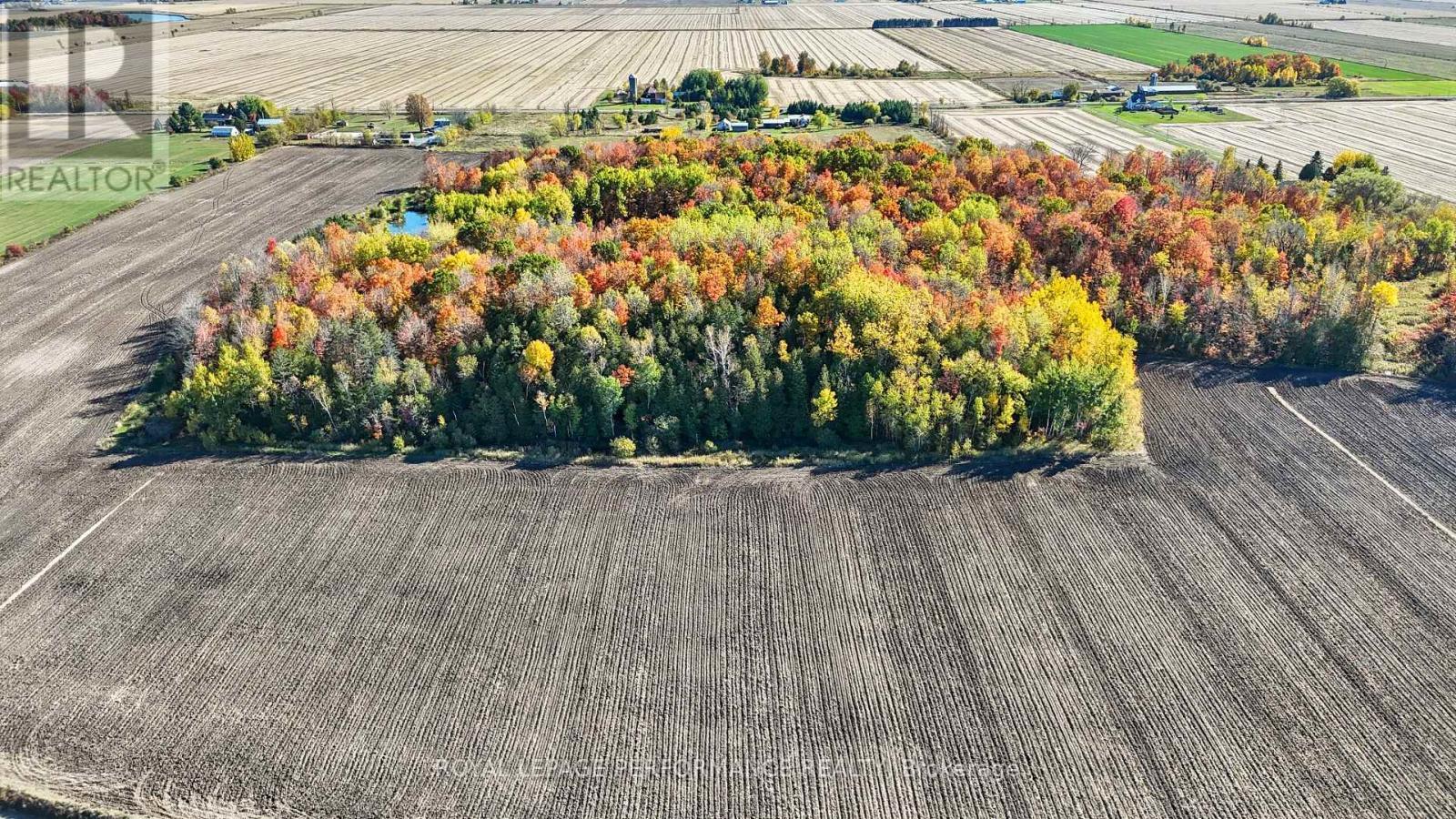 












2575 CONCESSION 2 ROAD

,
Alfred and Plantagenet,




Ontario
K0B1J0

