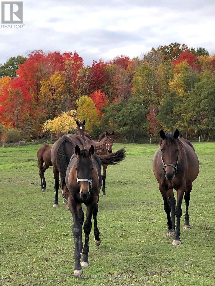 












2575 CONCESSION 2 ROAD

,
Alfred and Plantagenet,




Ontario
K0B1J0

