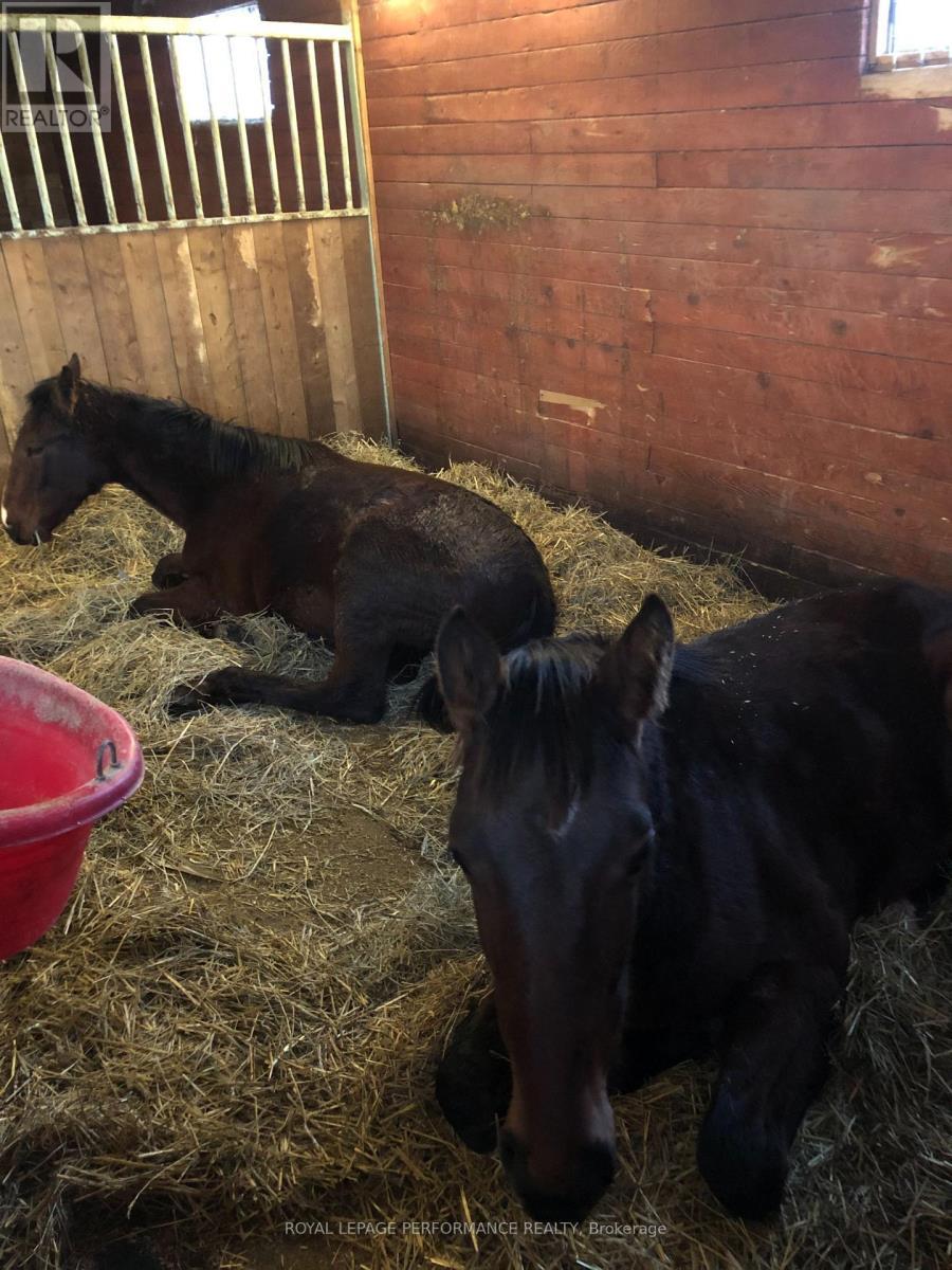 












2575 CONCESSION 2 ROAD

,
Alfred and Plantagenet,




Ontario
K0B1J0

