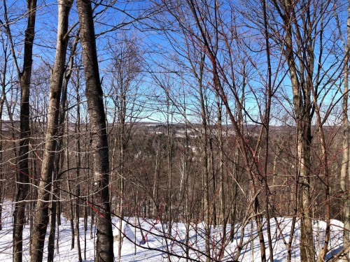 Photo de l'inscription vedette 