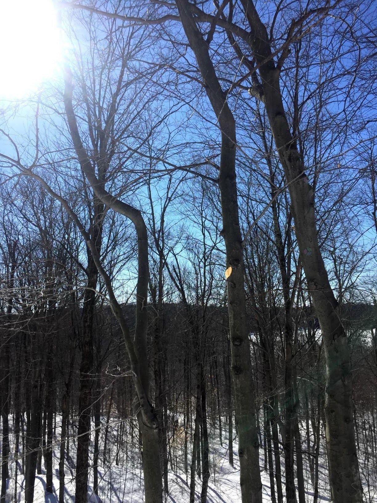 












Ch. Hunter

,
Wentworth,







QC
J8H0A7

