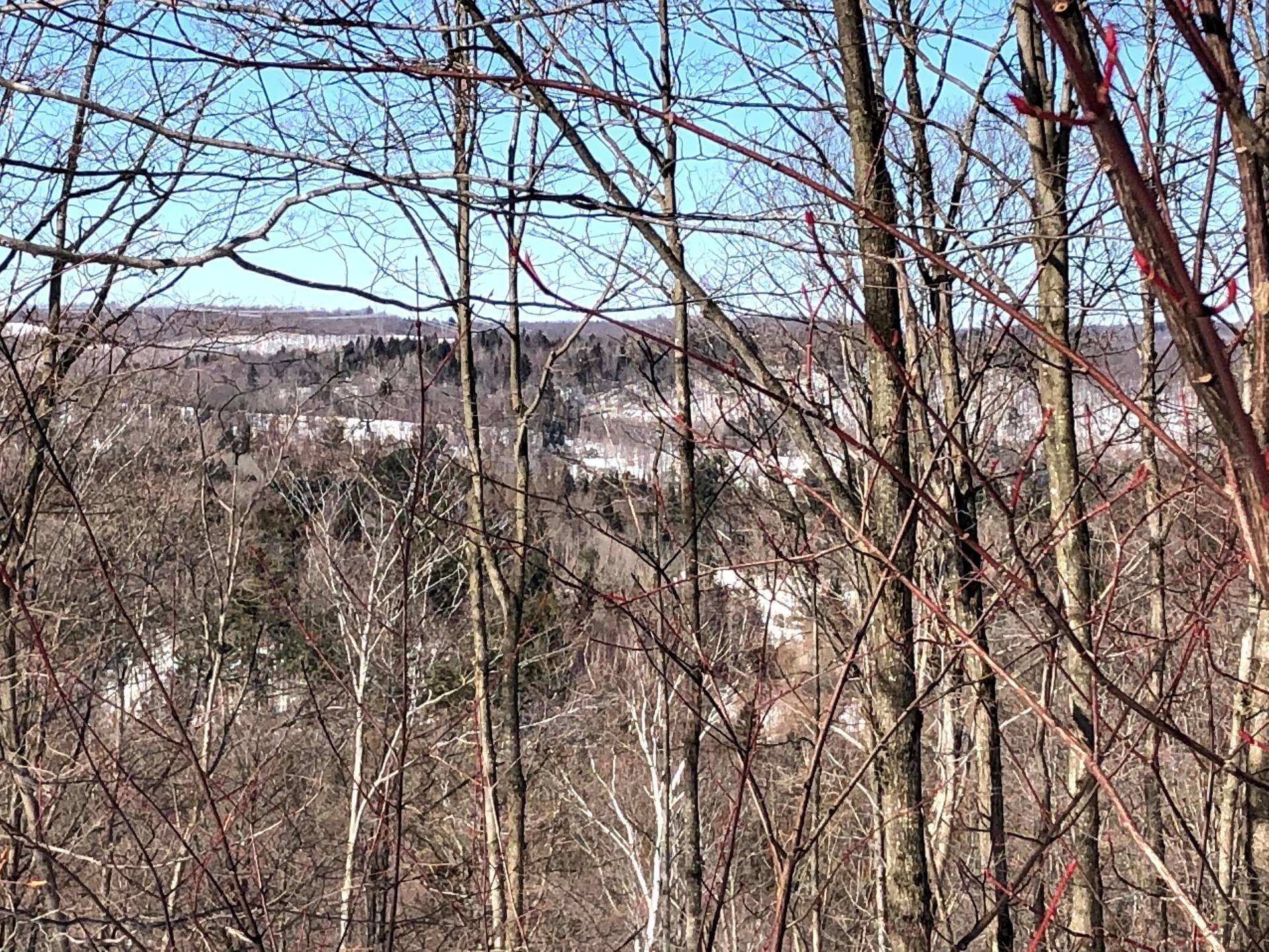 












Ch. Hunter

,
Wentworth,







QC
J8H0A7

