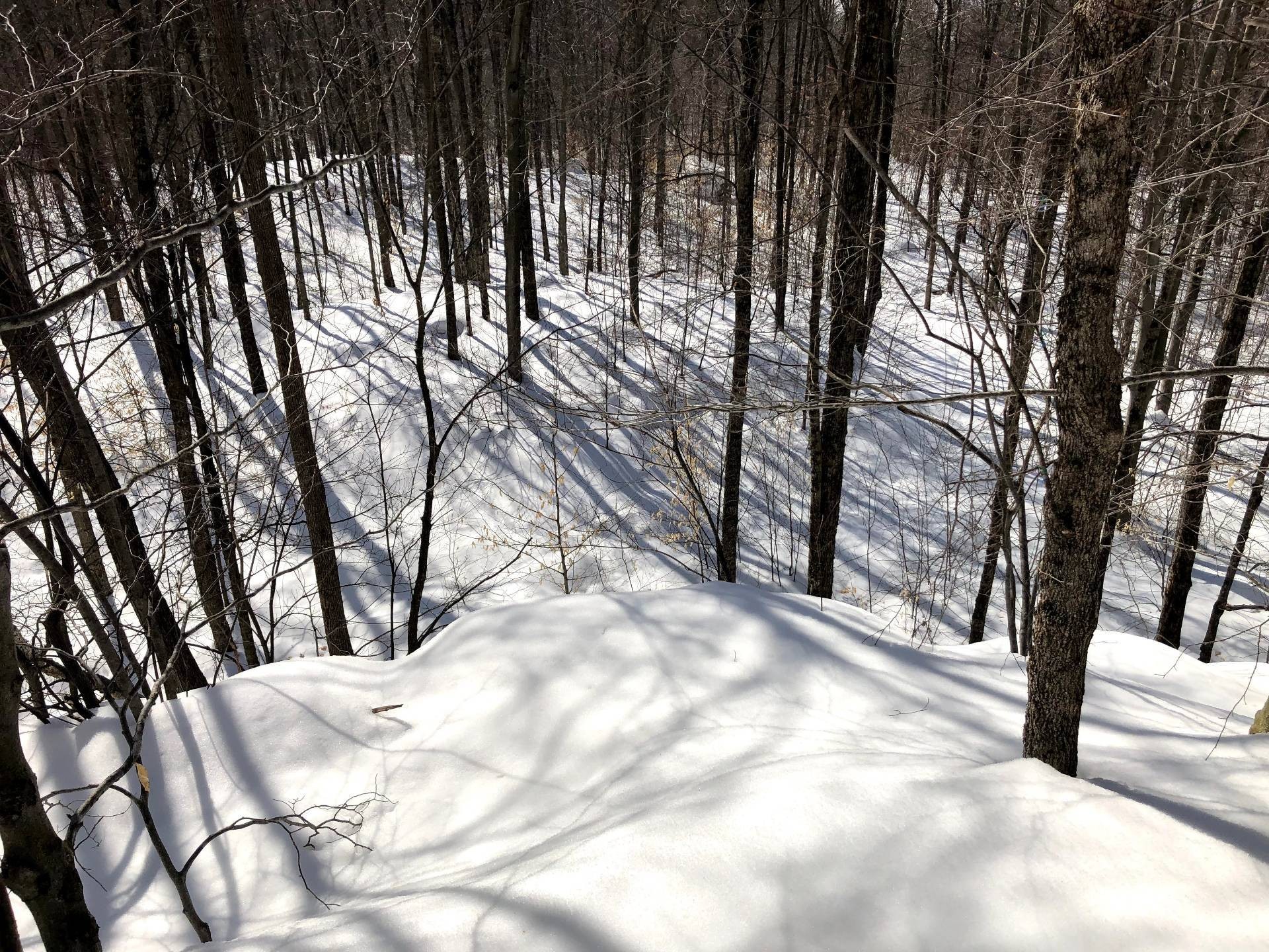 












Ch. Hunter

,
Wentworth,







QC
J8H0A7

