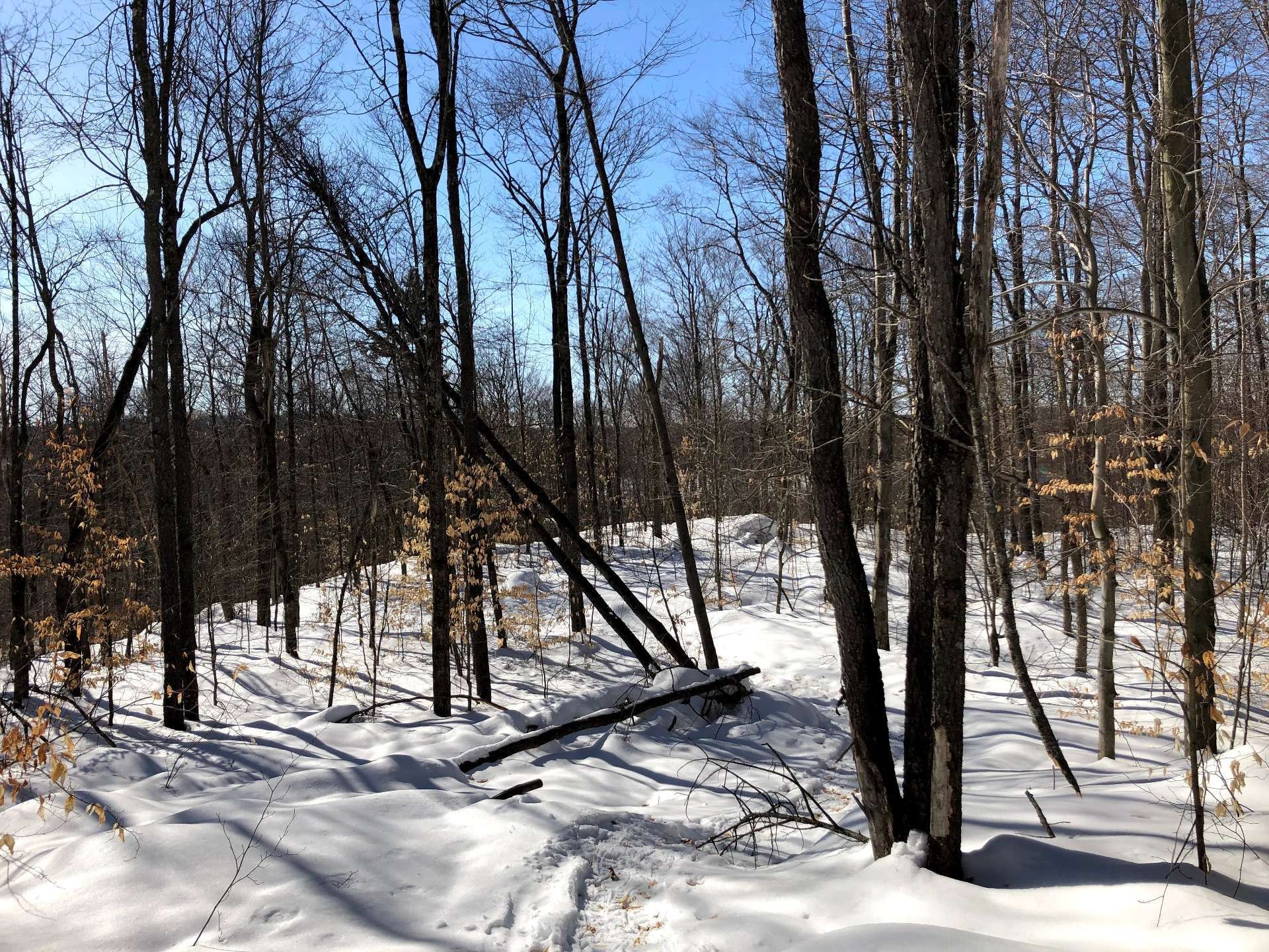 












Ch. Hunter

,
Wentworth,







QC
J8H0A7

