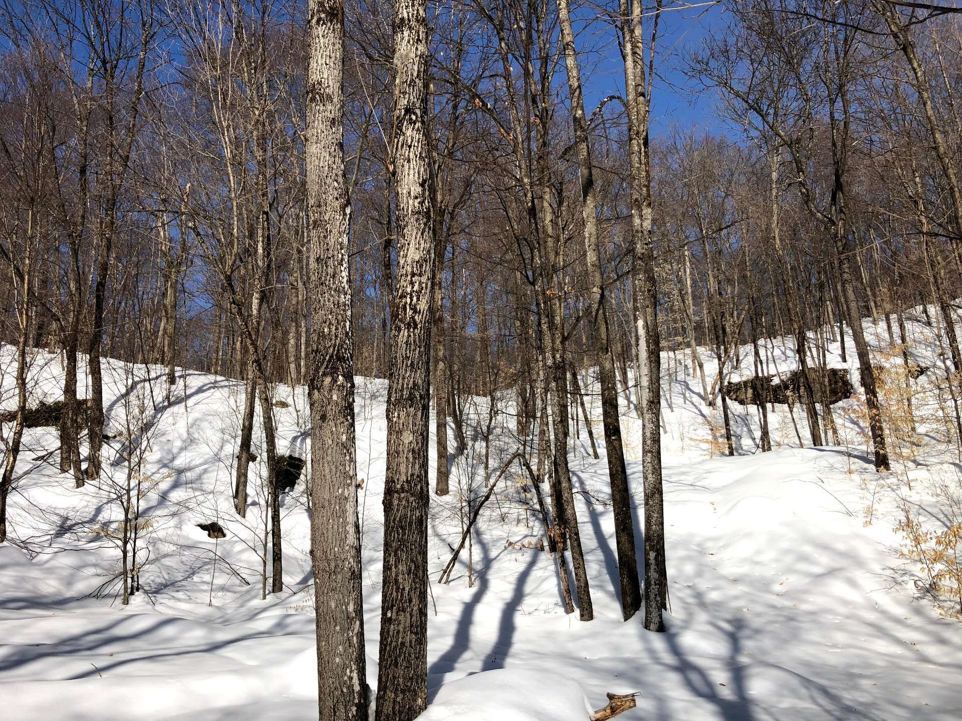 












Ch. Hunter

,
Wentworth,







QC
J8H0A7

