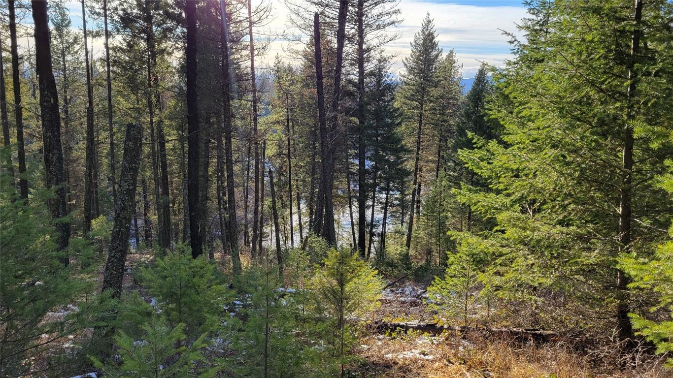 












Rosen Heights

Road,
Jaffray,







BC
V0B 1T0

