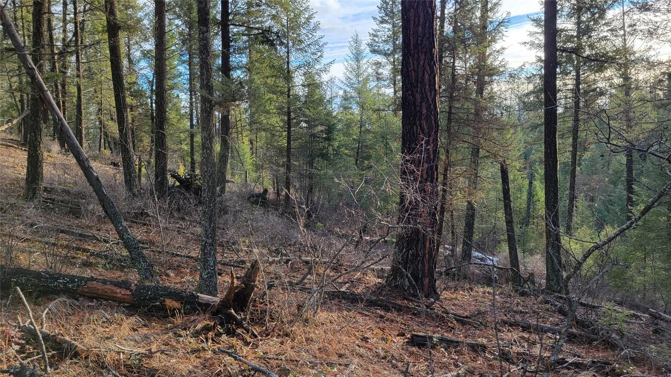 












Rosen Heights

Road,
Jaffray,







BC
V0B 1T0

