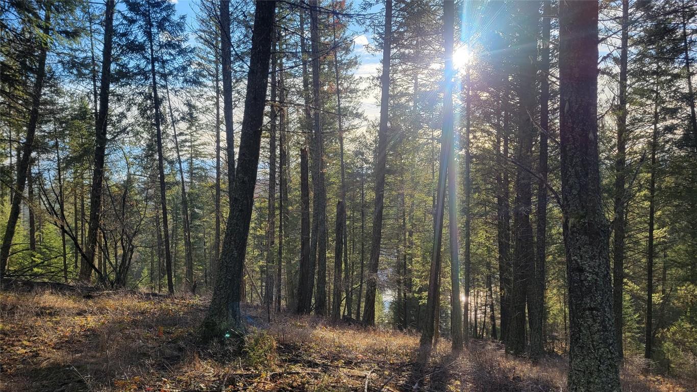 












Rosen Heights

Road,
Jaffray,







BC
V0B 1T0

