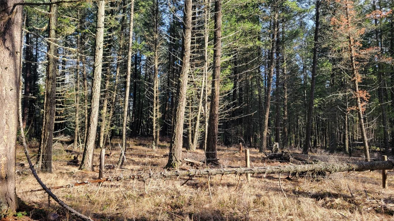 












Rosen Heights

Road,
Jaffray,







BC
V0B 1T0

