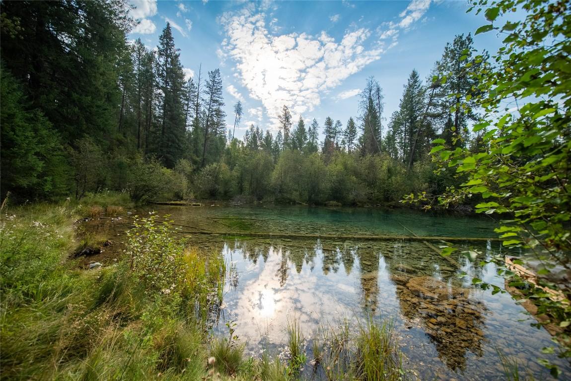 









2870


Rosen Heights

Road,
Jaffray,




BC
V0B 1T0

