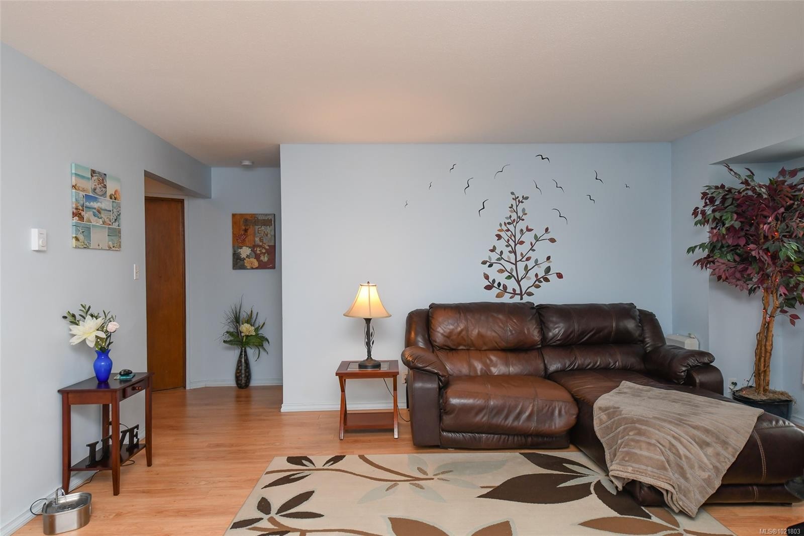 









1535


Dingwall

Rd, 31,
Courtenay,




BC
V9N 3S8

