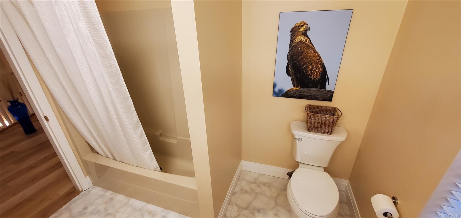 









527


Cala

Crt,
Gold River,




BC
V0P 1G0

