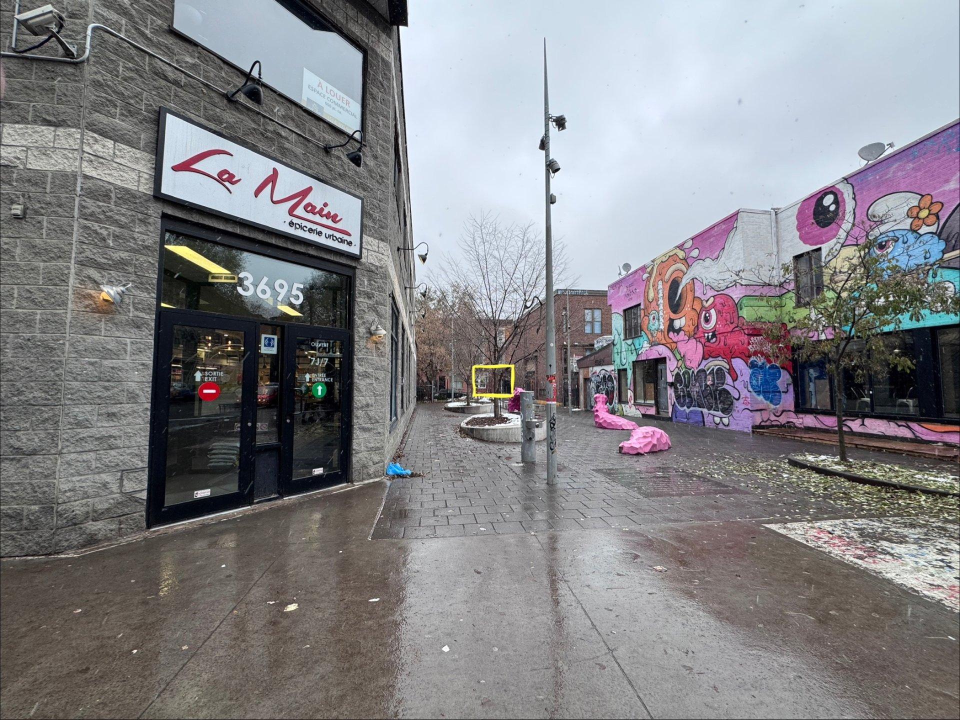 









3703


Rue St-Dominique

,
Montréal (Le Plateau-Mont-Royal),




QC
H2X2X8

