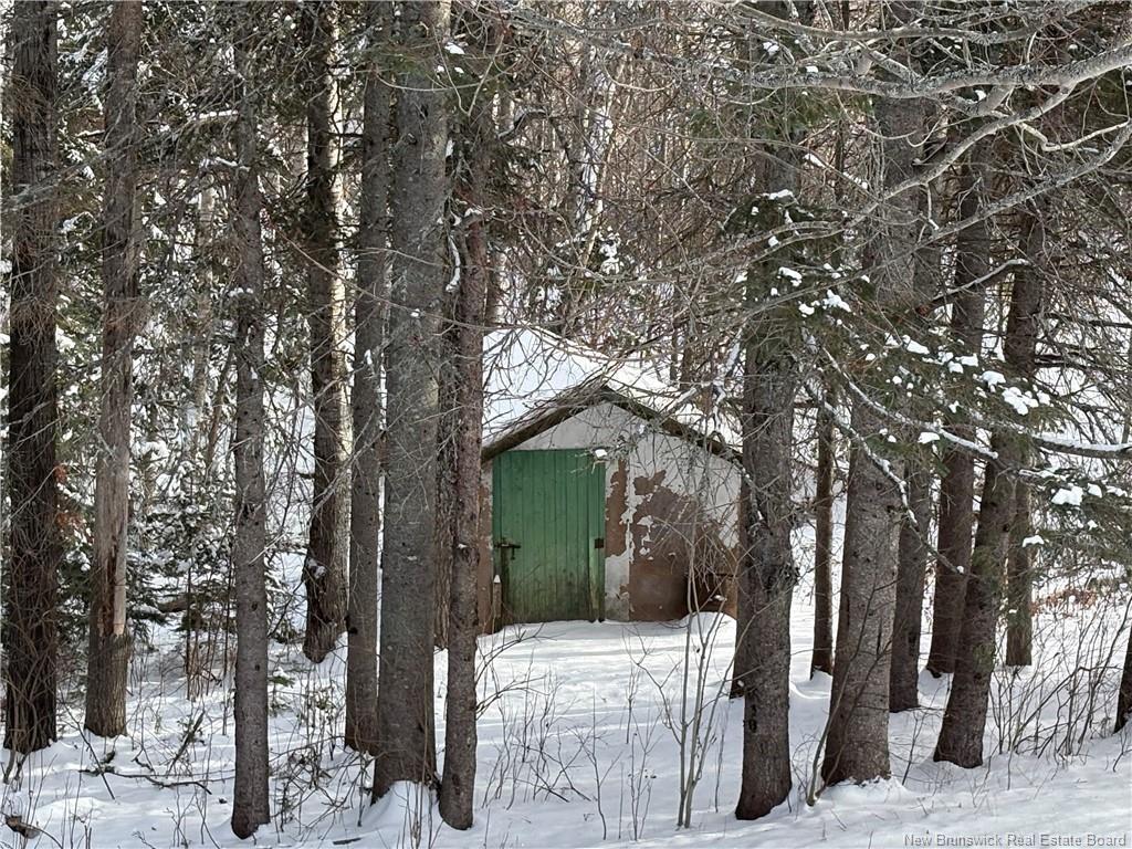 









2166


Carron

DR,
Bathurst,




NB
E2A 6A1

