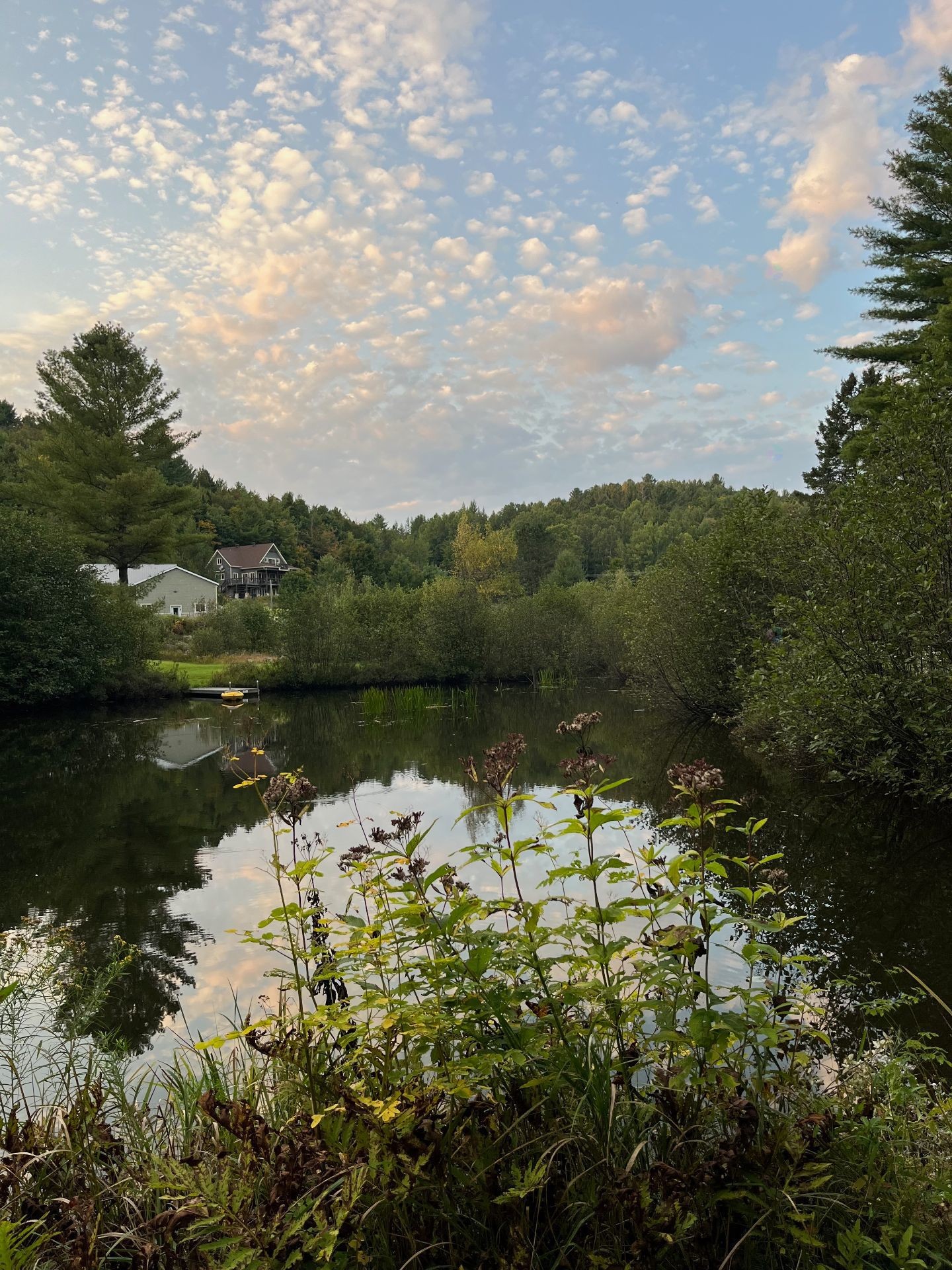 









305


Rue Laforest

,
Saint-Alphonse-Rodriguez,




QC
J0K1W0

