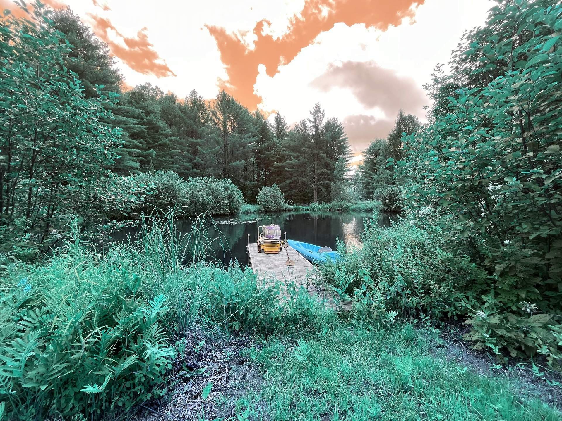 









305


Rue Laforest

,
Saint-Alphonse-Rodriguez,




QC
J0K1W0

