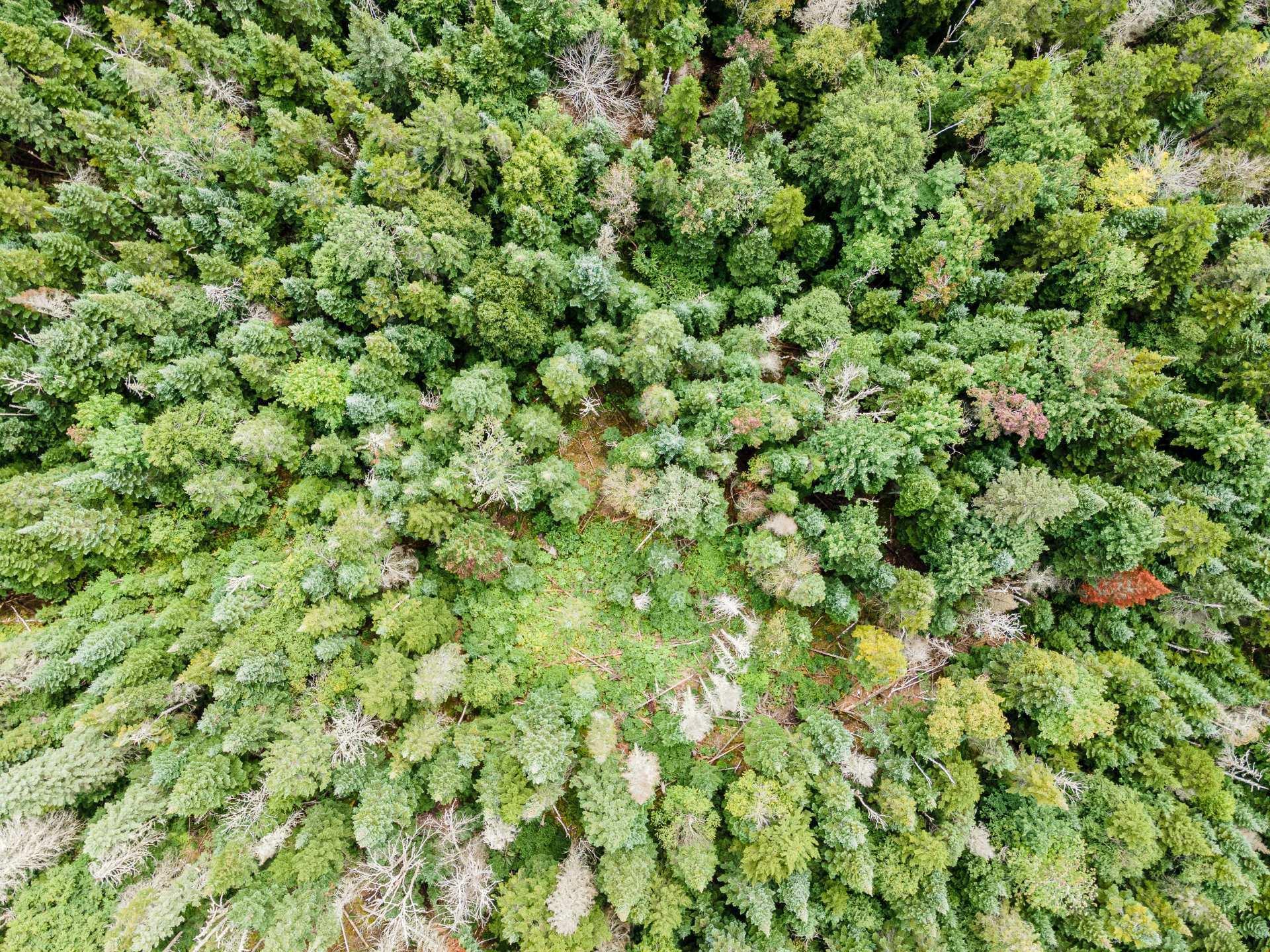 












Ch. Gillespie

,
Sainte-Agathe-des-Monts,







QC
J8C0X5

