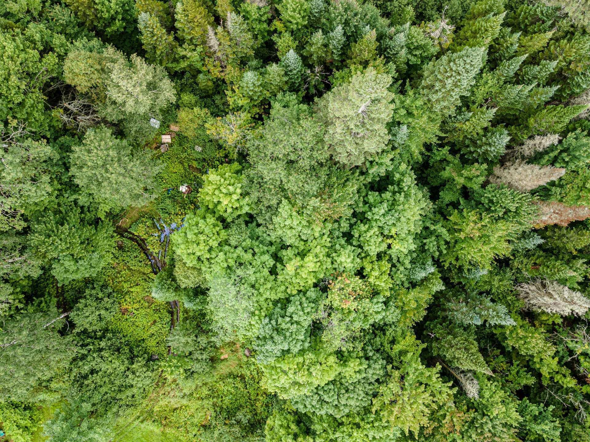 












Ch. Gillespie

,
Sainte-Agathe-des-Monts,







QC
J8C0X5

