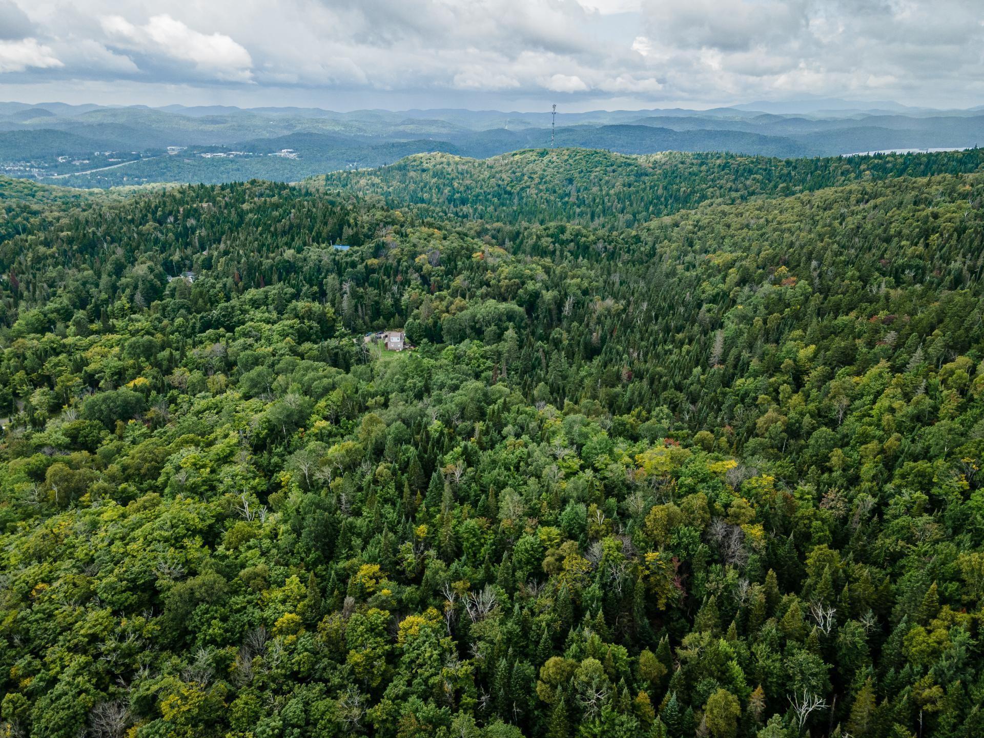 












Ch. Gillespie

,
Sainte-Agathe-des-Monts,







QC
J8C0X5

