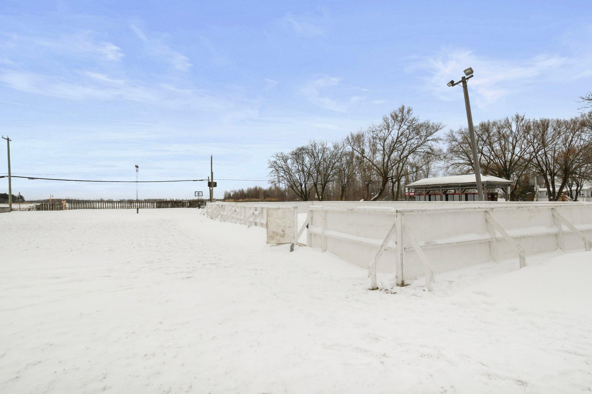 









4


5e Avenue S.

,
Saint-Mathieu,




QC
J0L2H0

