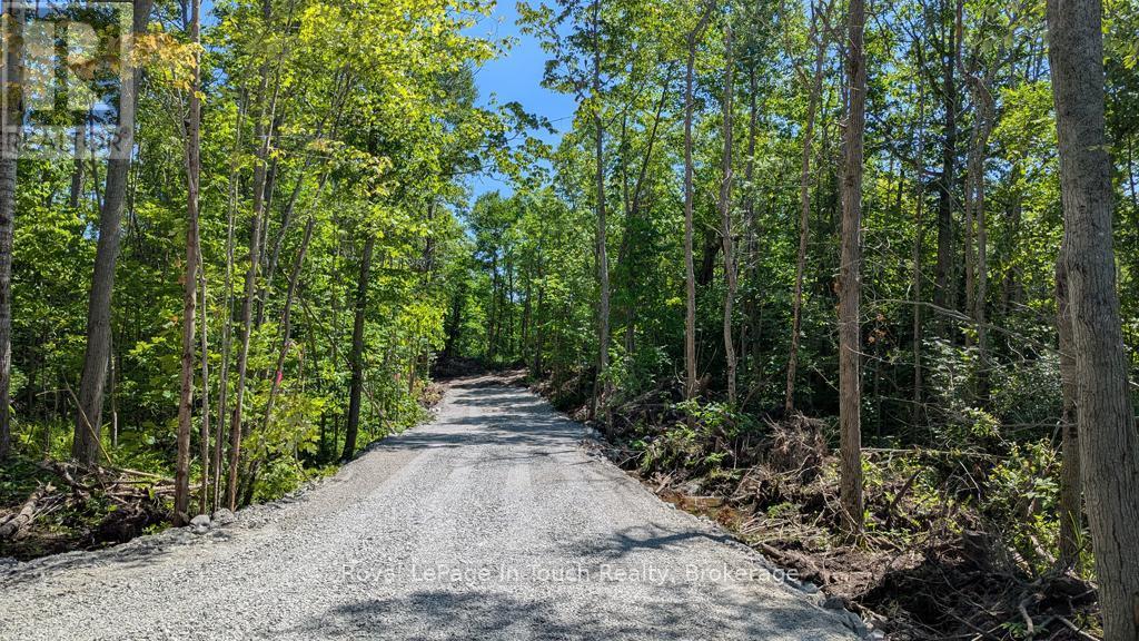 












434 SOUTH BAY ROAD

,
Georgian Bay (Baxter),







Ontario
L0K1S0

