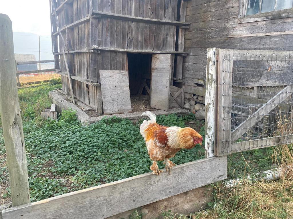 









4435


Hallam

Road,
Armstrong,




BC
V0E 1B0

